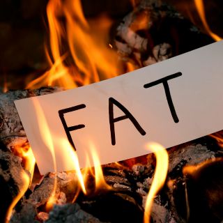  Blocage de l'absorption des glucides rapides