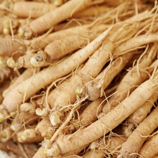 Extrait de feuilles de ginseng